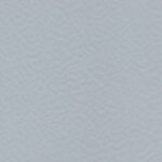 Silver Gray